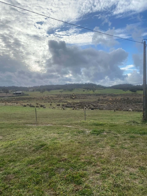 Terreno para Venda em Ourique