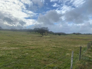 Terreno para Venda em Ourique