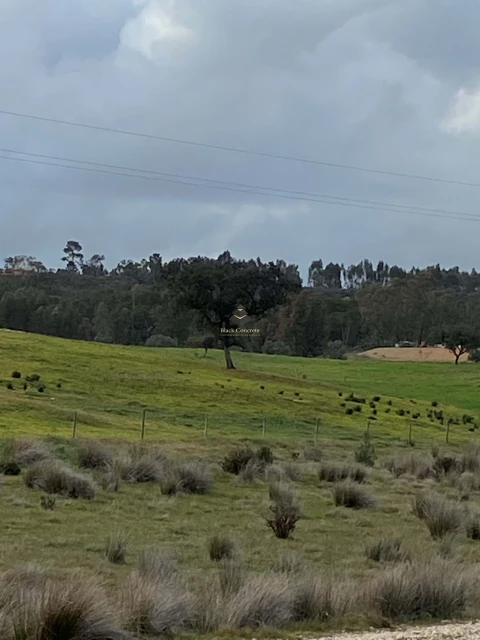 Terreno para Venda em Ourique