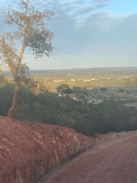 Terreno para Venda em Ourique