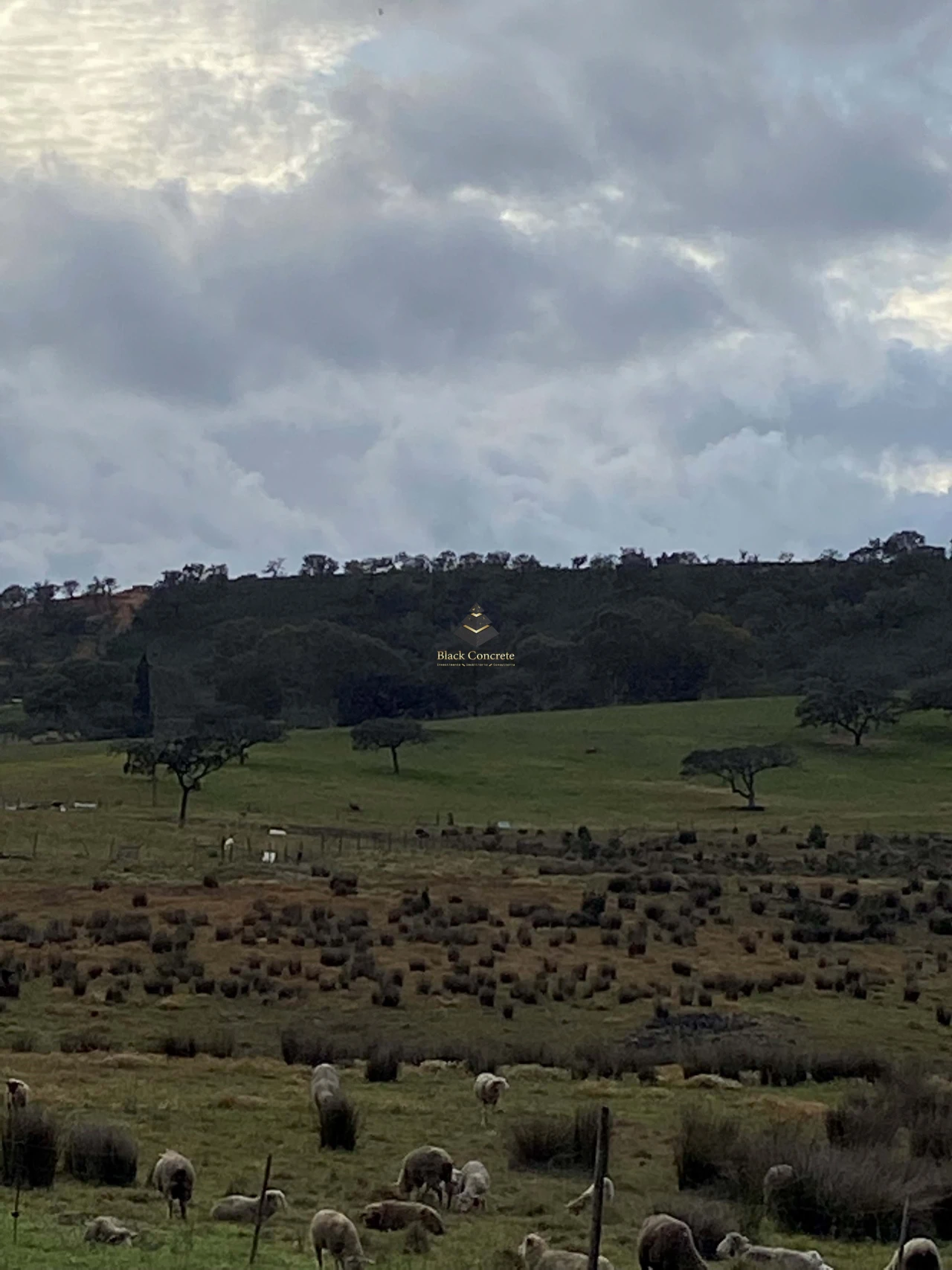 Terreno para Venda em Ourique Foto 20