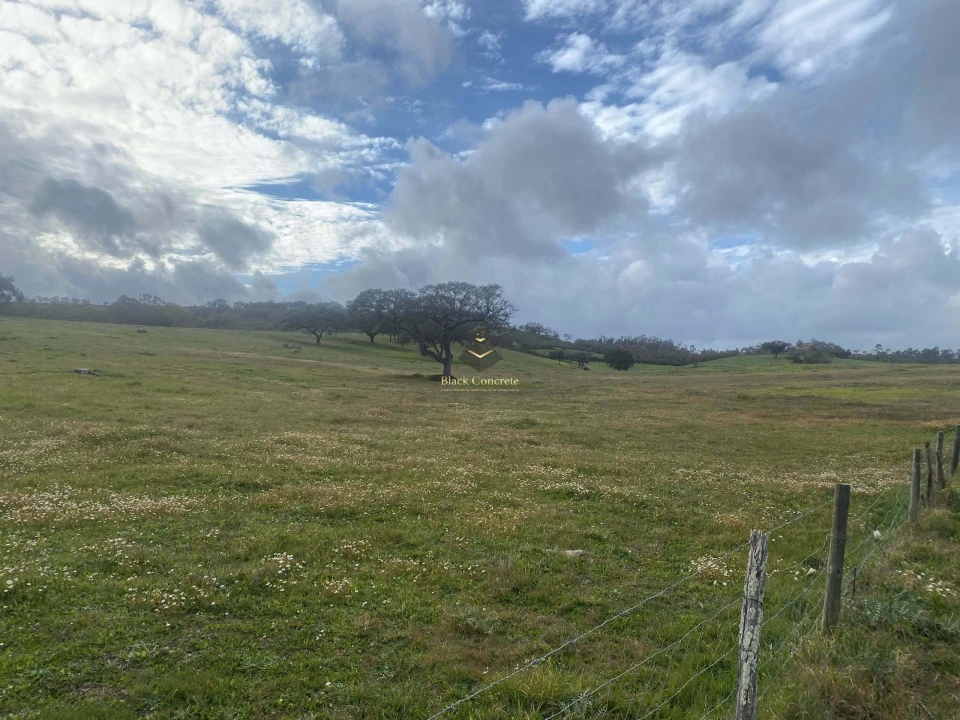 Terreno para Venda em Ourique Foto 4