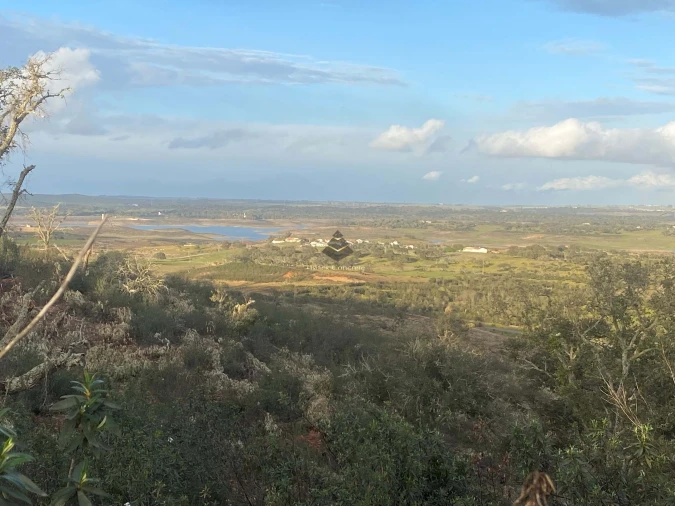 Terreno para Venda em Ourique Foto 12