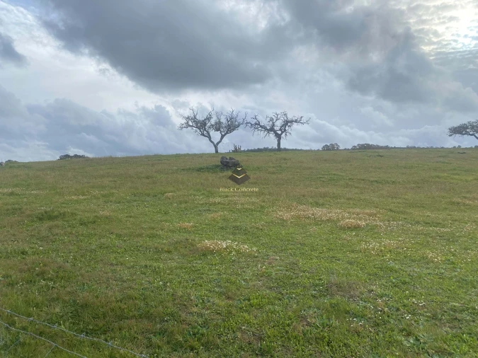 Terreno para Venda em Ourique Foto 5