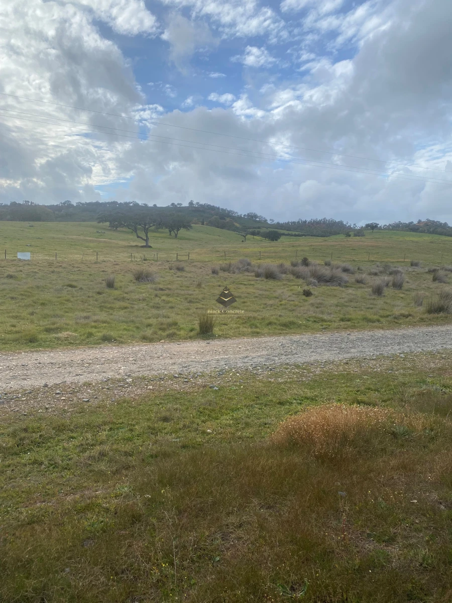 Terreno para Venda em Ourique Foto 3