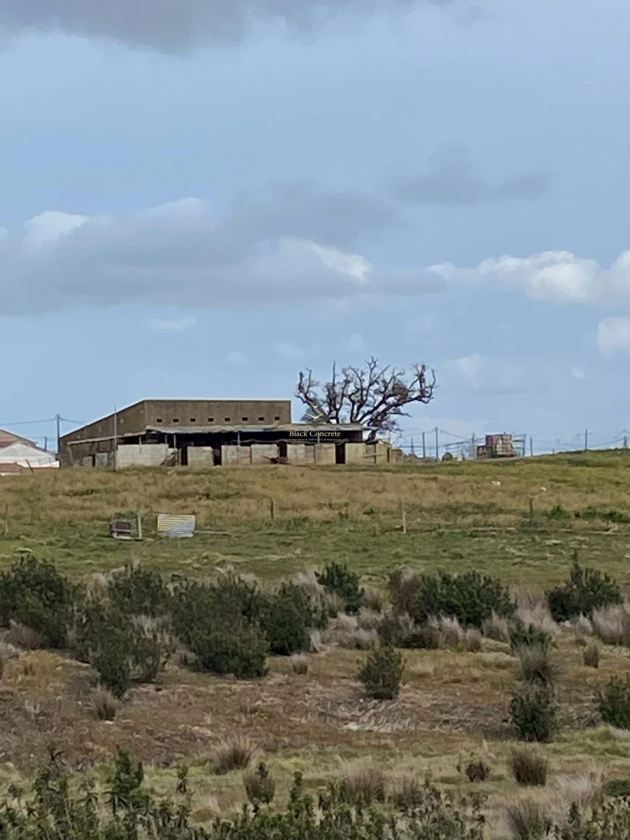 Terreno para Venda em Ourique Foto 15