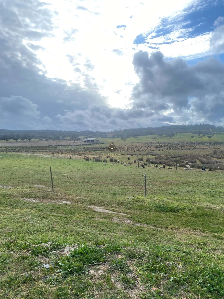 Terreno para Venda em Ourique Foto 10