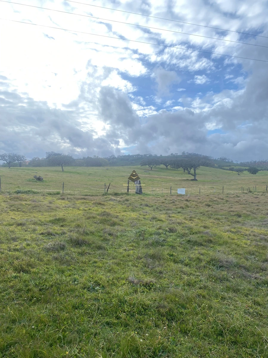 Terreno para Venda em Ourique Foto 2