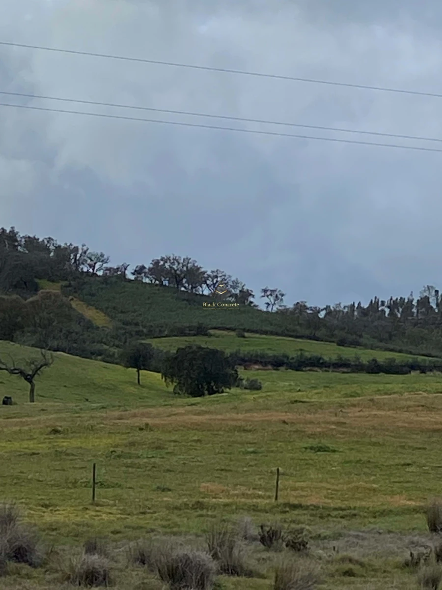Terreno para Venda em Ourique Foto 17