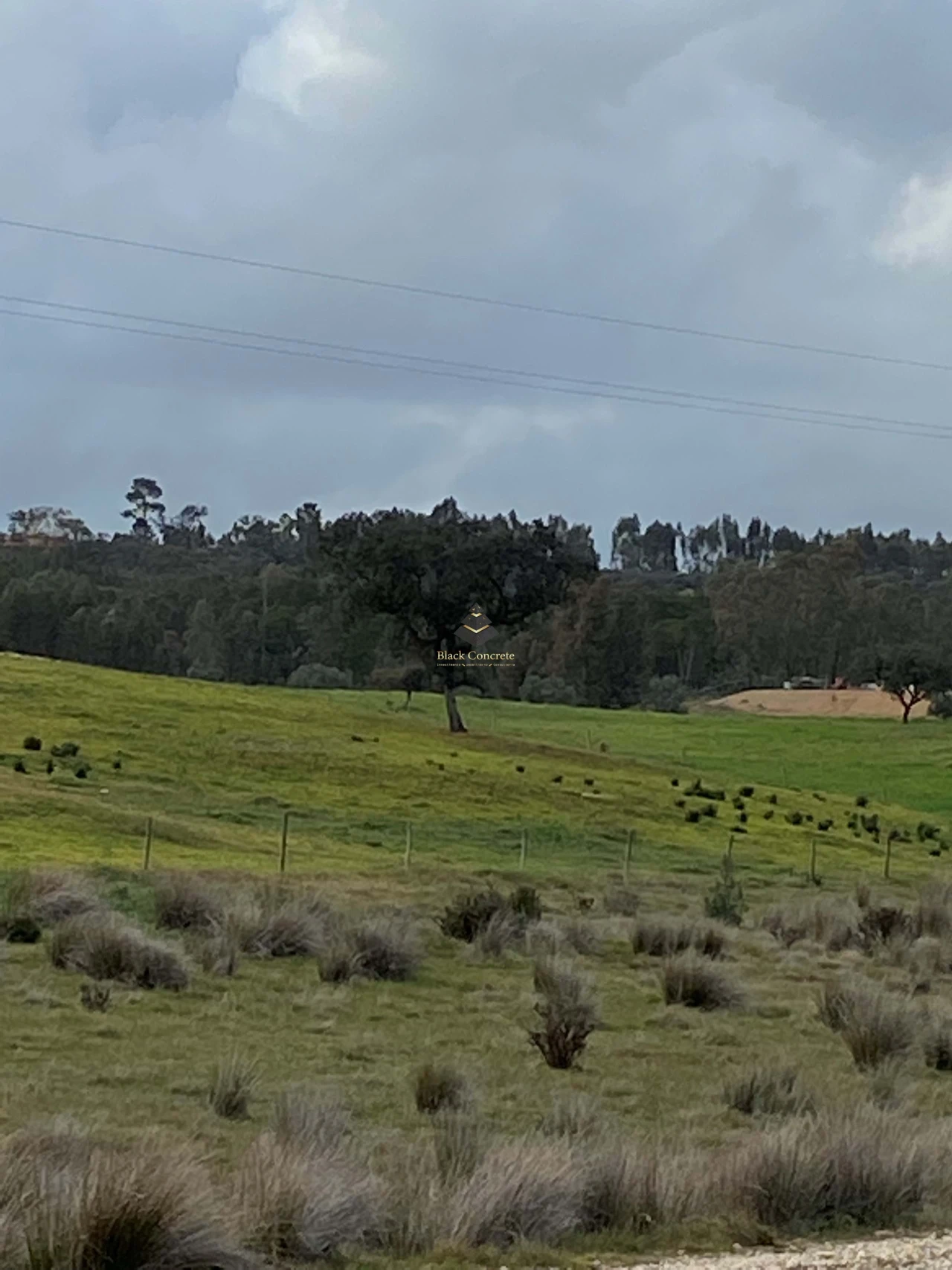 Terreno para Venda em Ourique Foto 16
