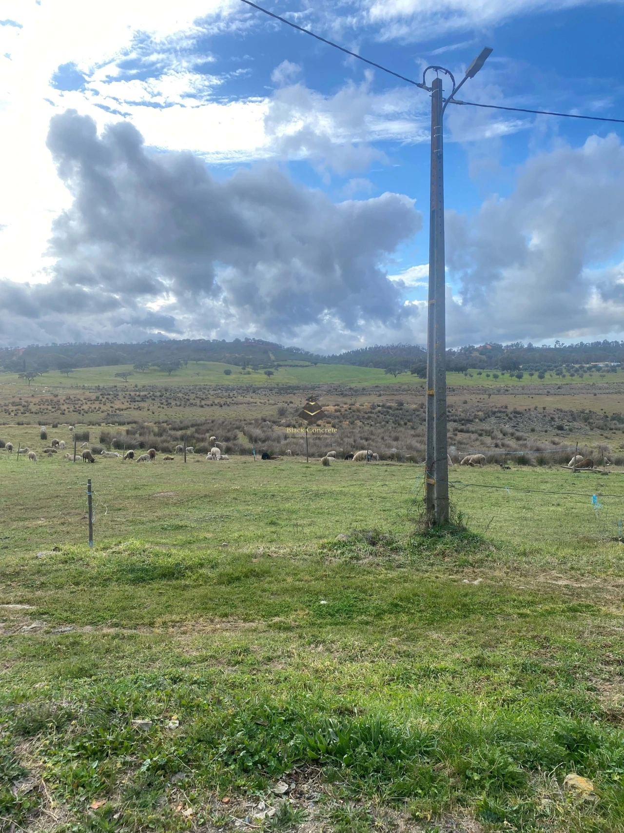 Terreno para Venda em Ourique Foto 11