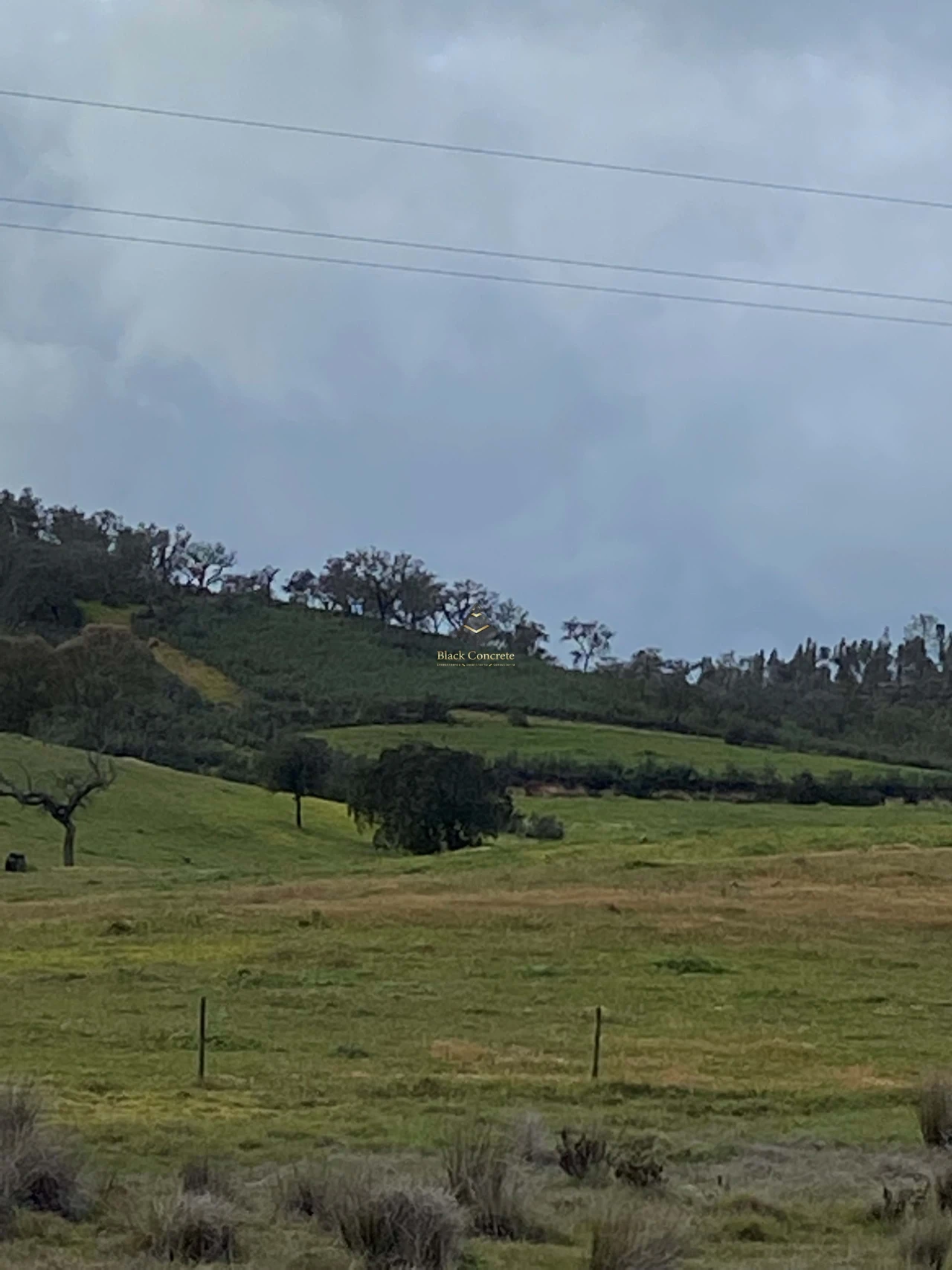 Terreno para Venda em Ourique Foto 17