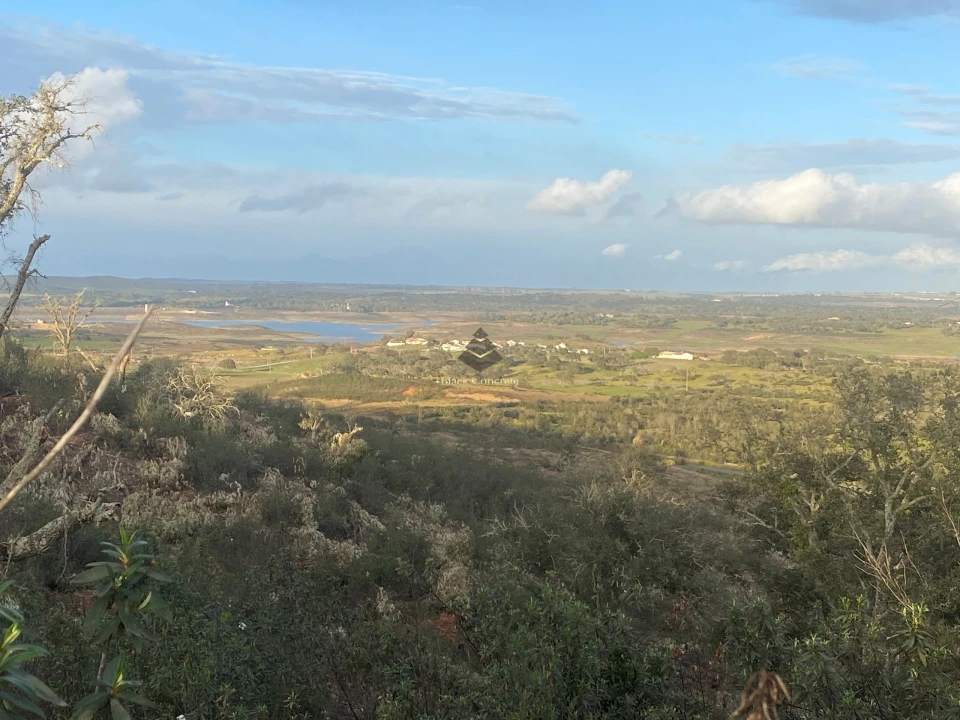 Terreno para Venda em Ourique Foto 12