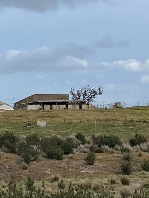 Terreno para Venda em Ourique
