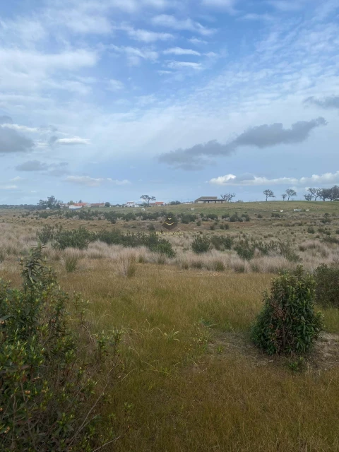 Terreno para Venda em Ourique