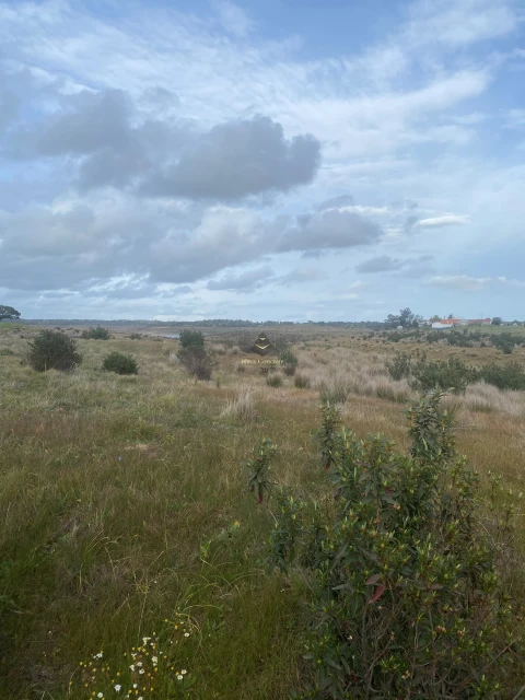 Terreno para Venda em Ourique