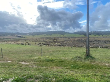 Terreno para Venda em Ourique