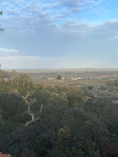 Terreno para Venda em Ourique
