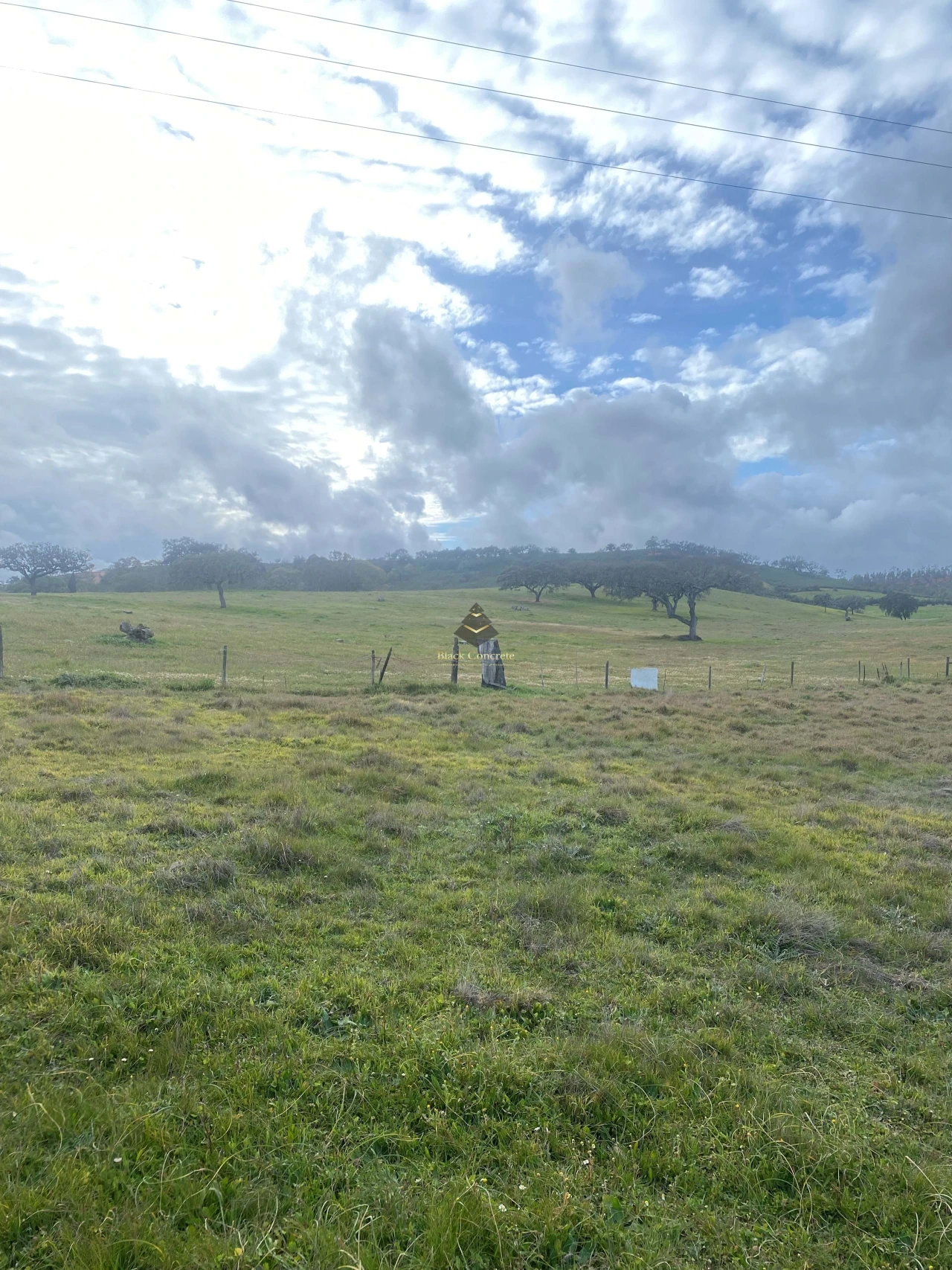 Terreno para Venda em Ourique Foto 2