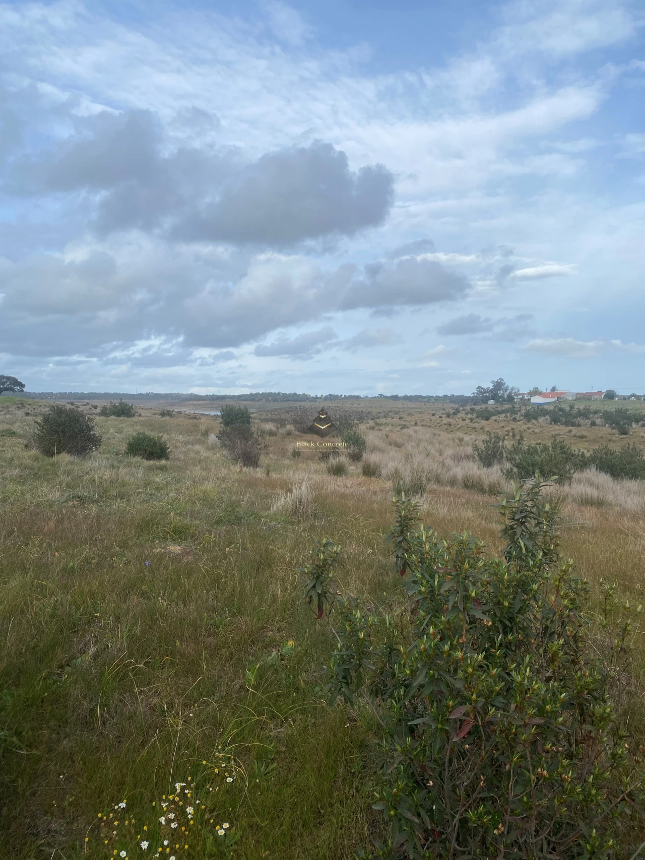 Terreno para Venda em Ourique Foto 3