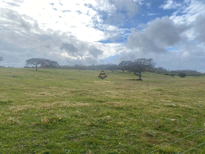 Terreno para Venda em Ourique Foto 5