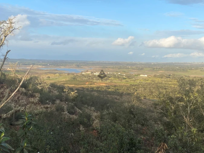 Terreno para Venda em Ourique Foto 12