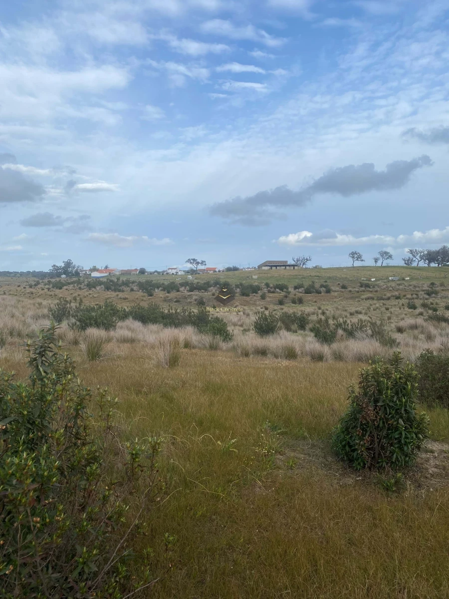 Terreno para Venda em Ourique Foto 4