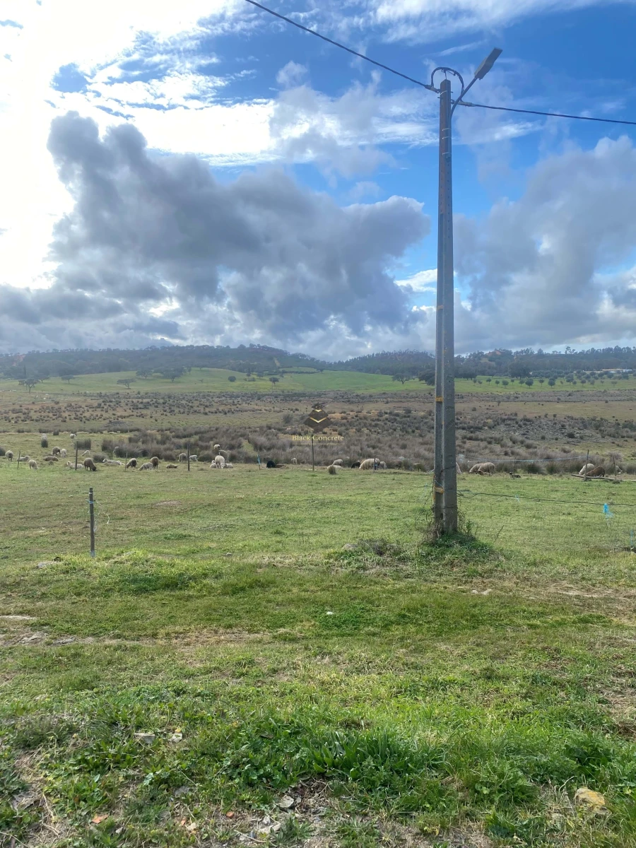 Terreno para Venda em Ourique Foto 11