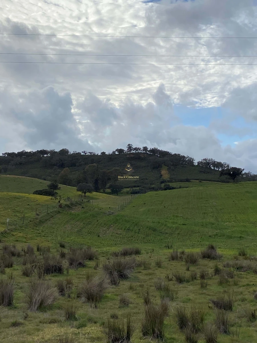 Terreno para Venda em Ourique Foto 20