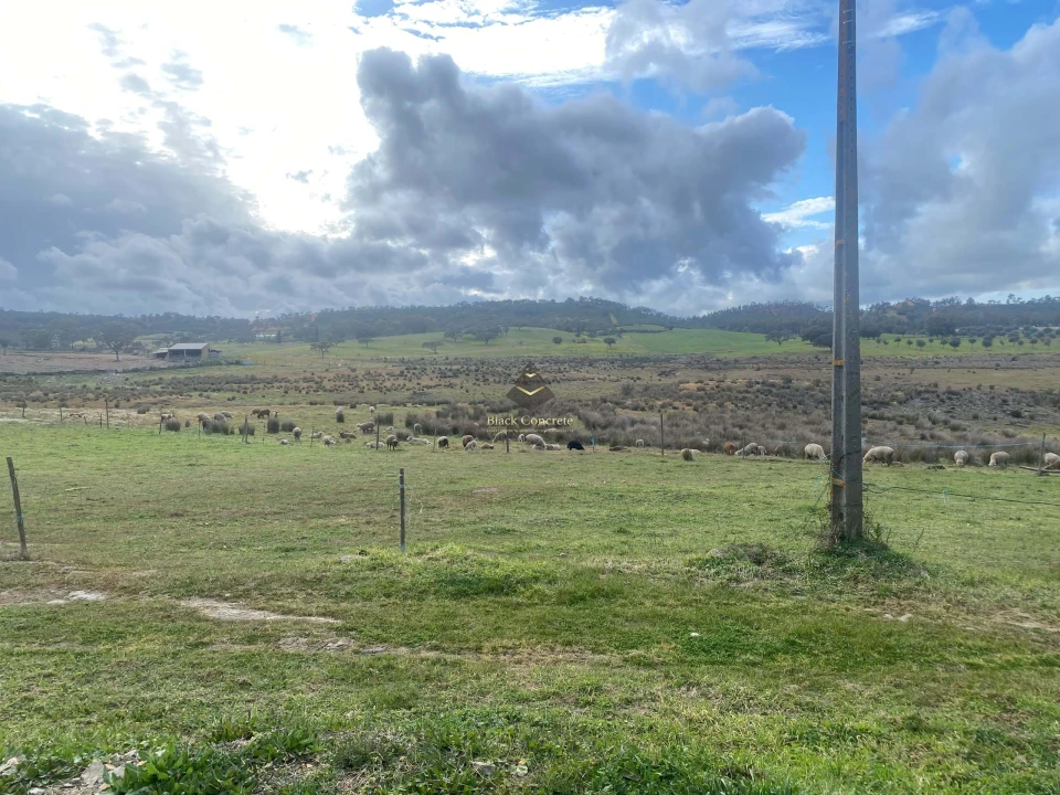Terreno para Venda em Ourique Foto 10