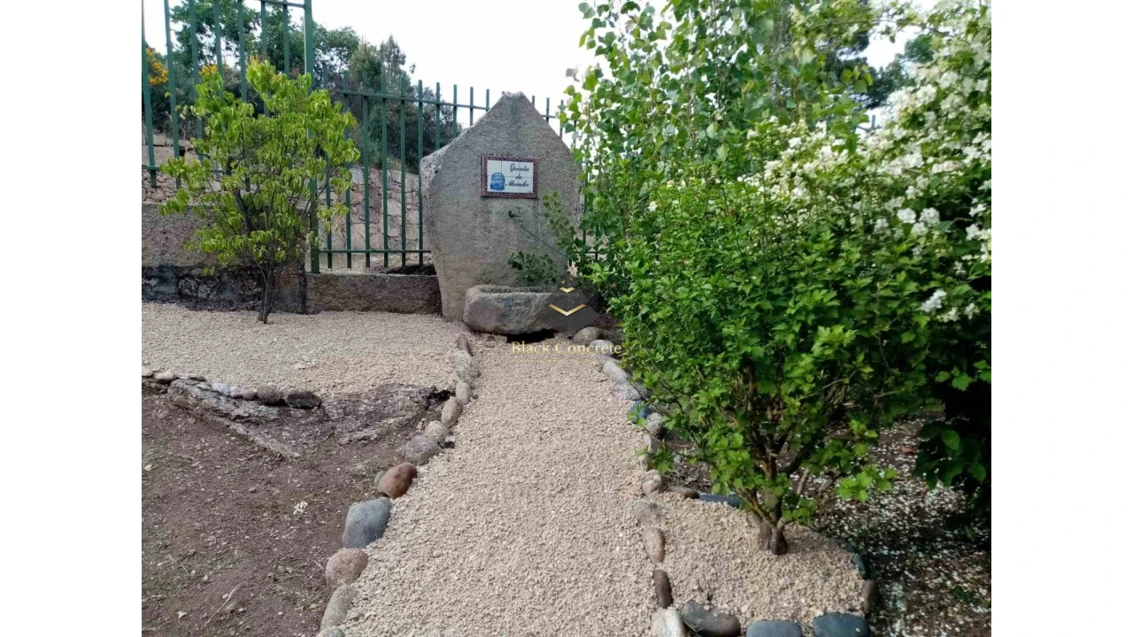 Negócio para Venda em Aldeia Viçosa Foto 5