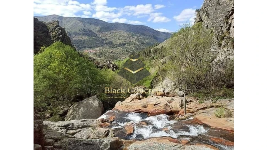 Negócio para Venda em Aldeia Viçosa Foto 1