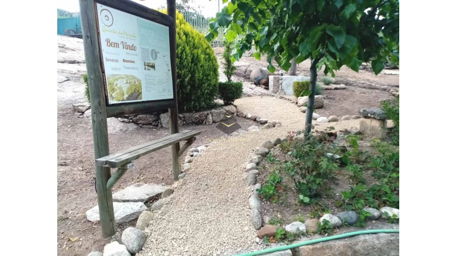 Negócio para Venda em Aldeia Viçosa Foto 6