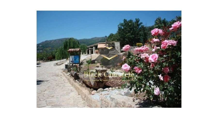 Negócio para Venda em Aldeia Viçosa Foto 12