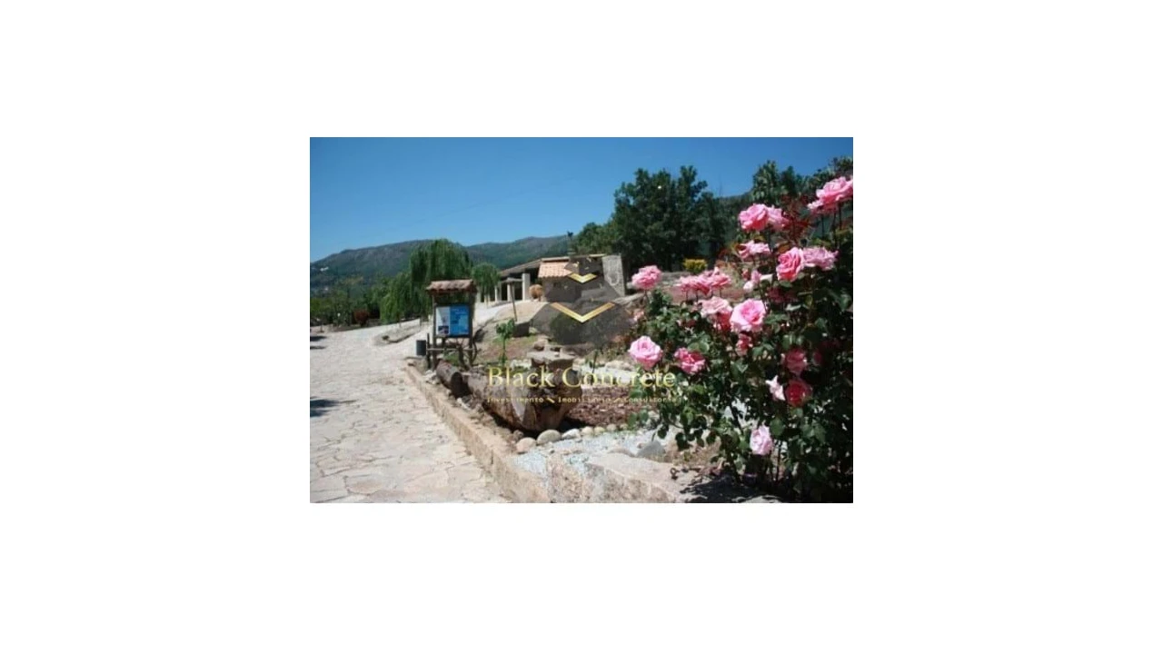 Negócio para Venda em Aldeia Viçosa Foto 9