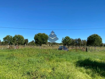 Terreno para Venda em Grândola e Santa Margarida da Serra