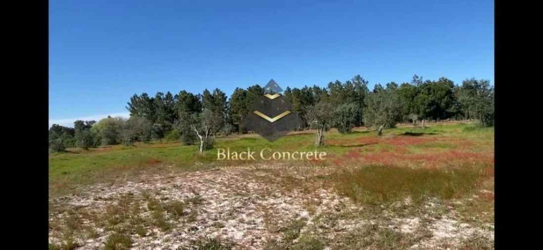 Terreno para Venda em Grândola e Santa Margarida da Serra Foto 10