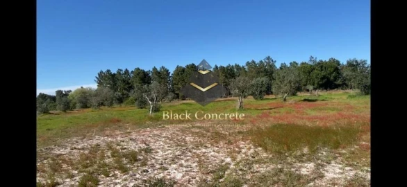 Quinta para Venda em Grândola e Santa Margarida da Serra