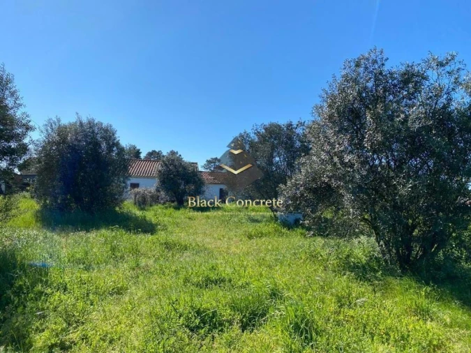 Quinta para Venda em Grândola e Santa Margarida da Serra Foto 5