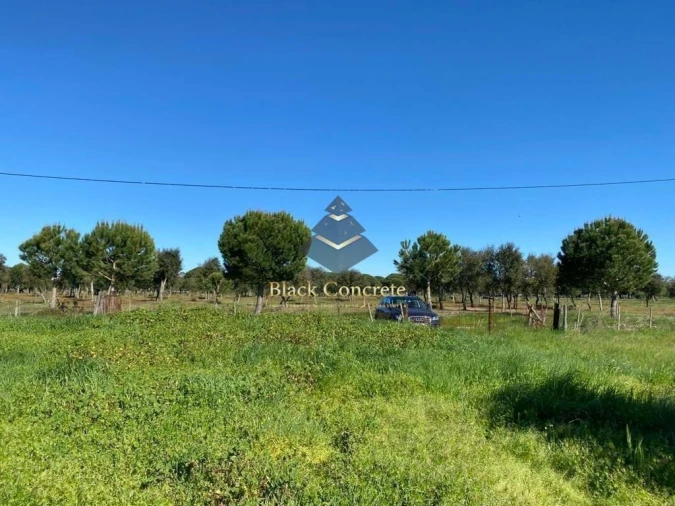 Moradia para Venda em Grândola e Santa Margarida da Serra Foto 7