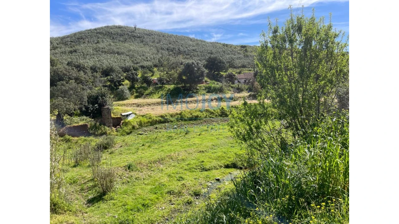 Terreno Agricola ou Rústico para Venda em Mexilhoeira Grande Foto 2