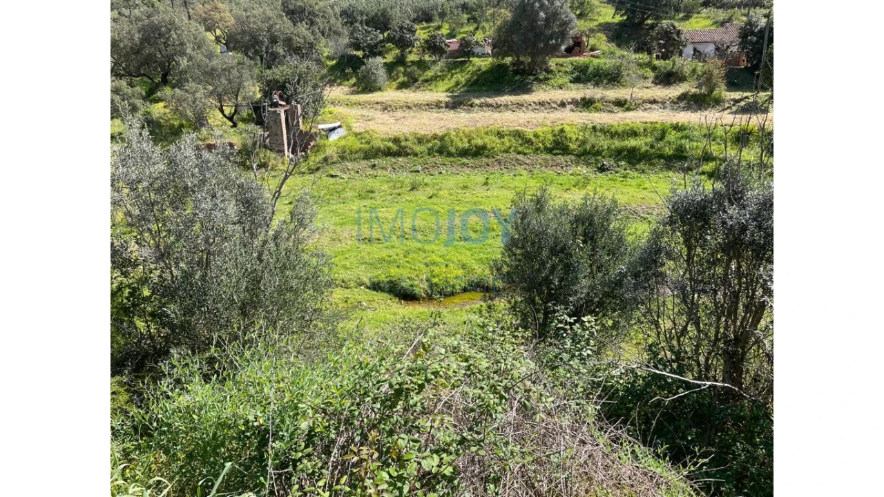 Terreno Agricola ou Rústico para Venda em Mexilhoeira Grande Foto 6