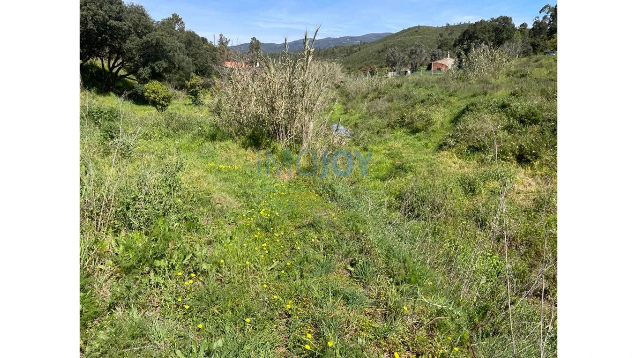 Terreno Agricola ou Rústico para Venda em Mexilhoeira Grande Foto 8