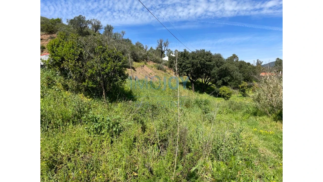 Terreno Agricola ou Rústico para Venda em Mexilhoeira Grande Foto 9