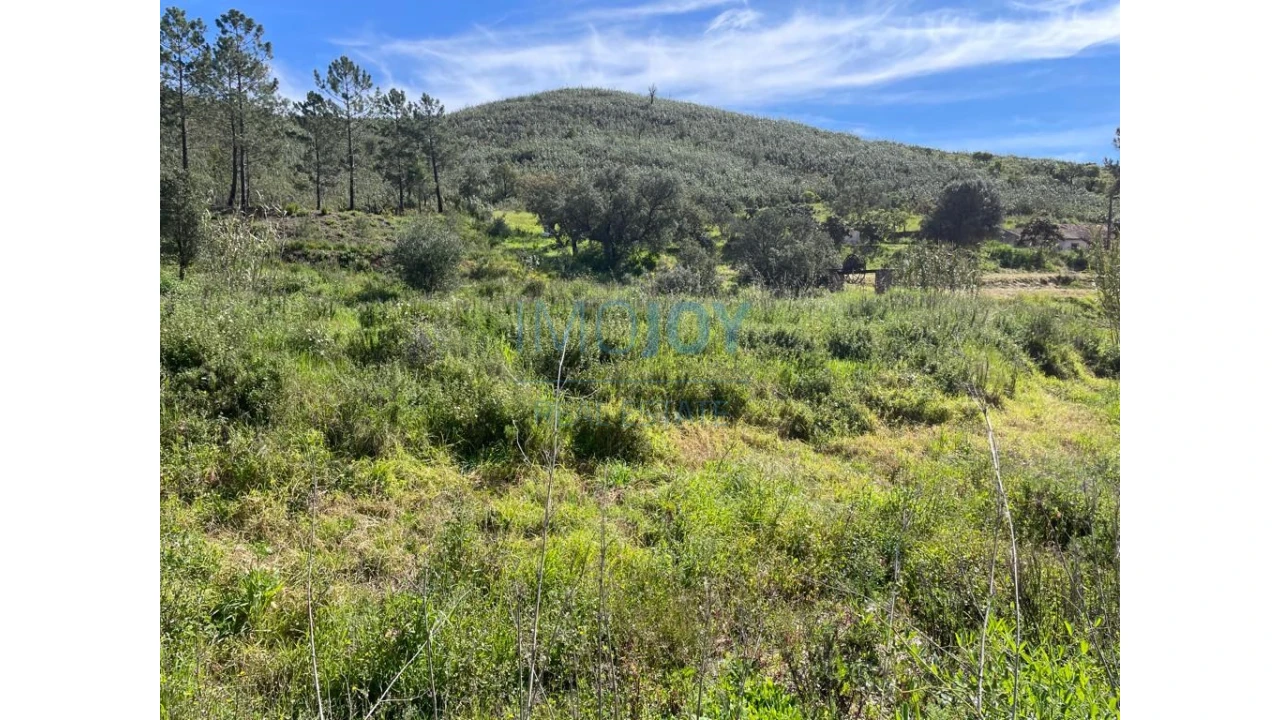 Terreno Agricola ou Rústico para Venda em Mexilhoeira Grande Foto 10