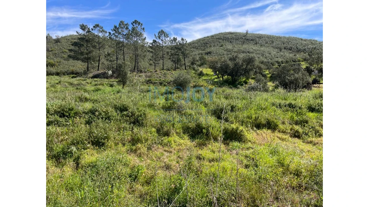 Terreno Agricola ou Rústico para Venda em Mexilhoeira Grande Foto 11