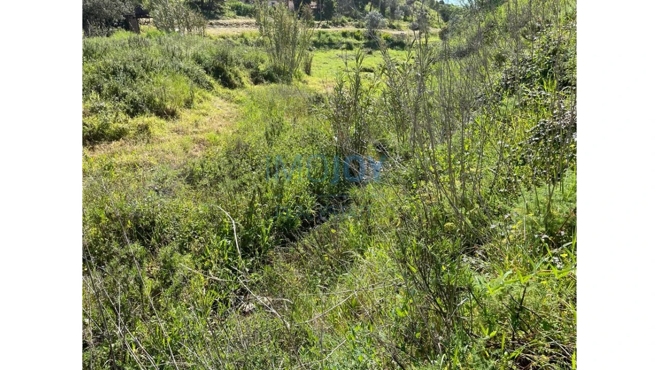 Terreno Agricola ou Rústico para Venda em Mexilhoeira Grande Foto 12