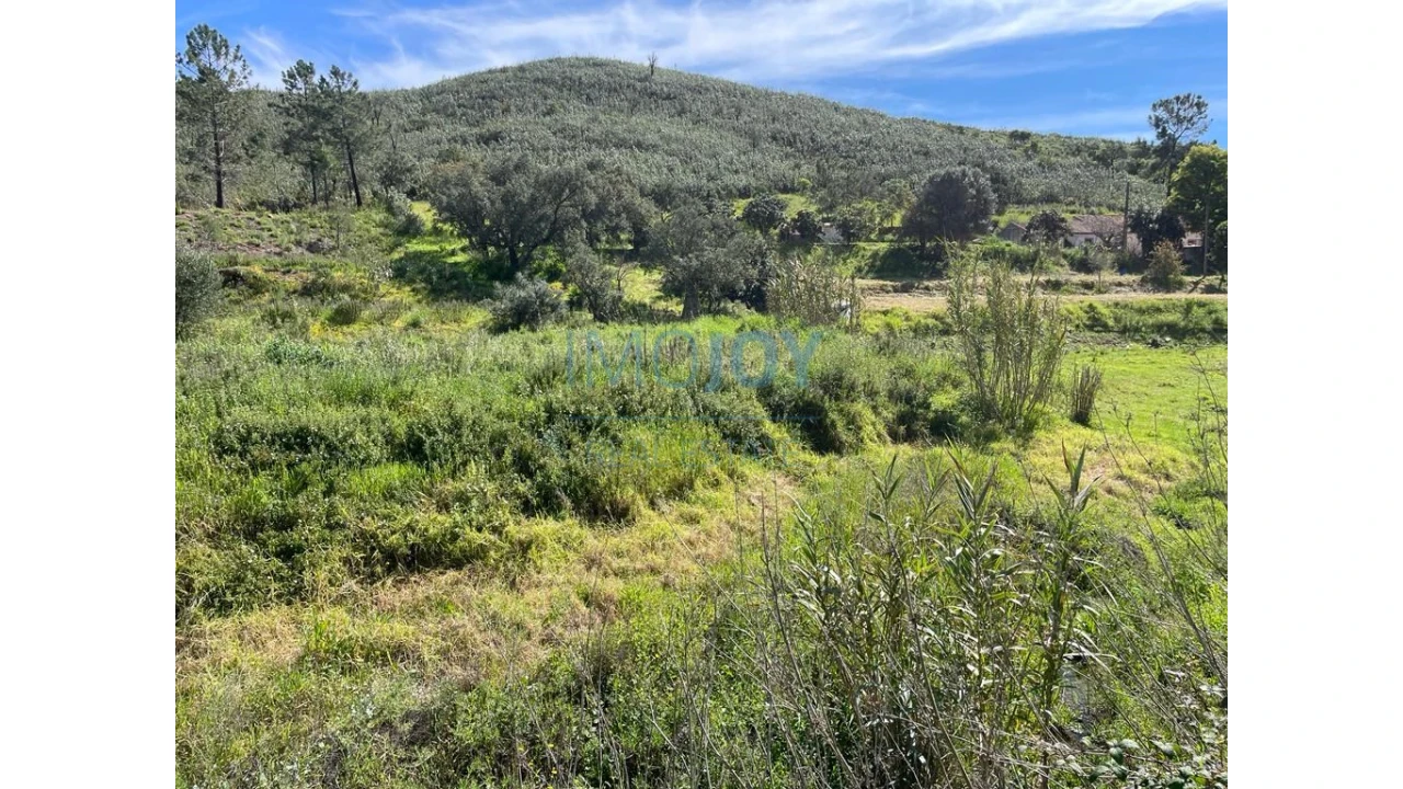 Terreno Agricola ou Rústico para Venda em Mexilhoeira Grande Foto 13