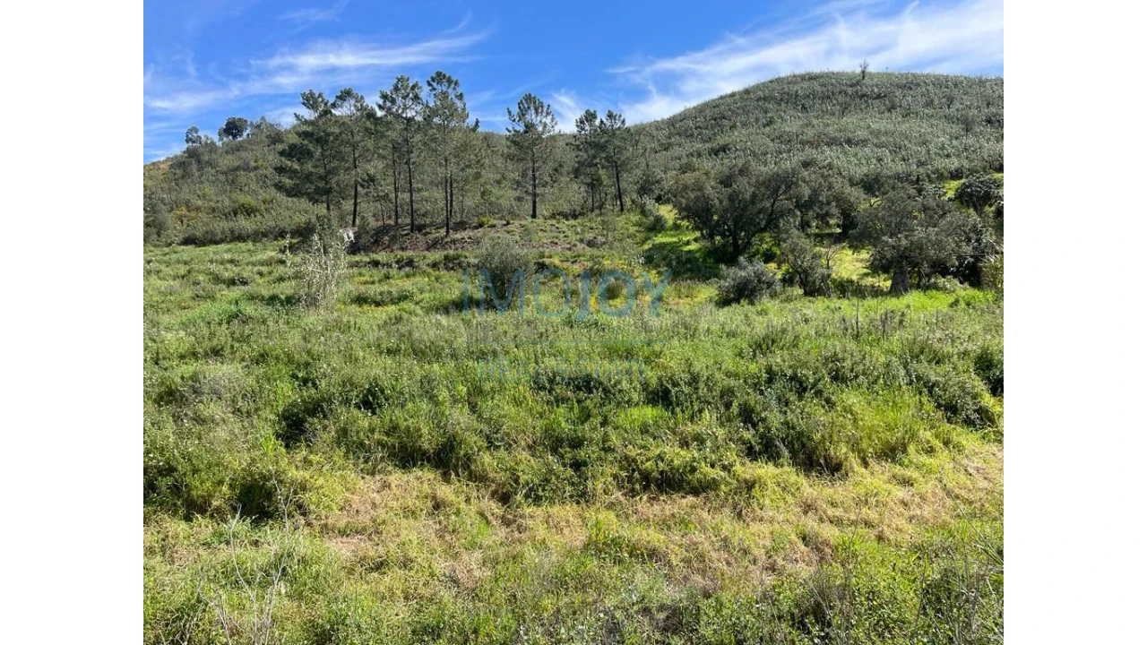 Terreno Agricola ou Rústico para Venda em Mexilhoeira Grande Foto 14