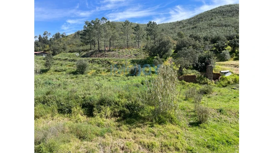 Terreno Agricola ou Rústico para Venda em Mexilhoeira Grande